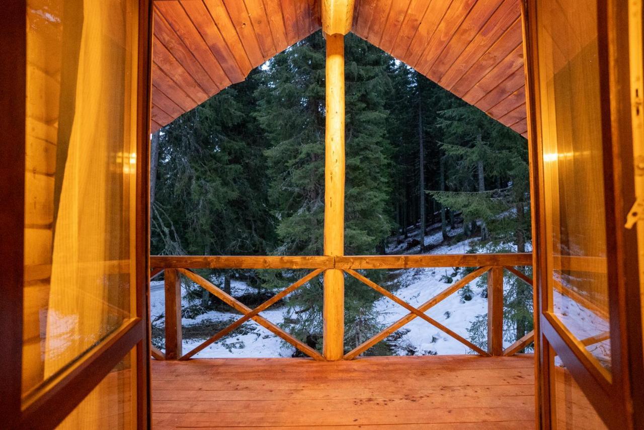Власовъ Pamporovo Buitenkant foto