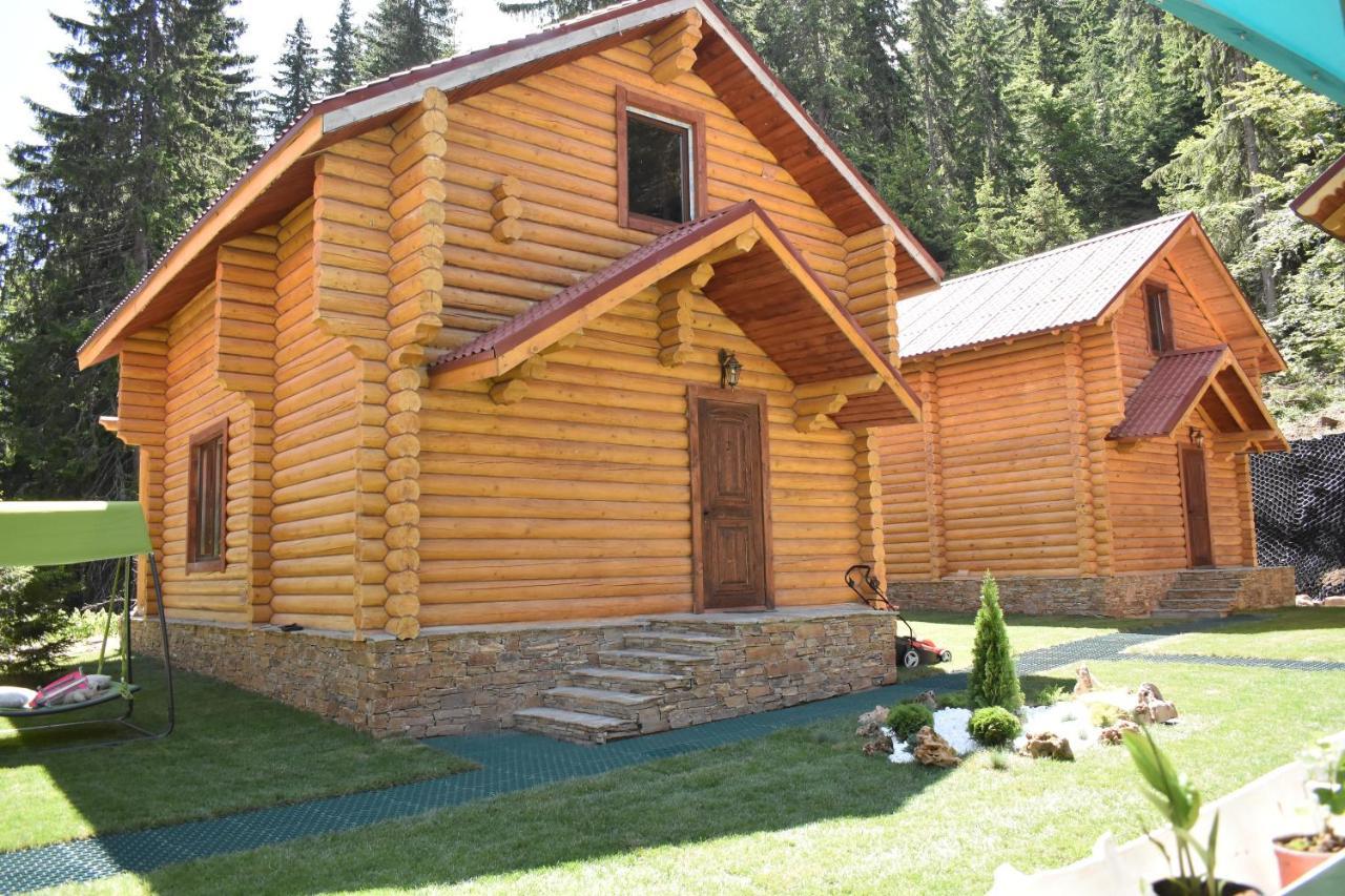 Власовъ Pamporovo Buitenkant foto