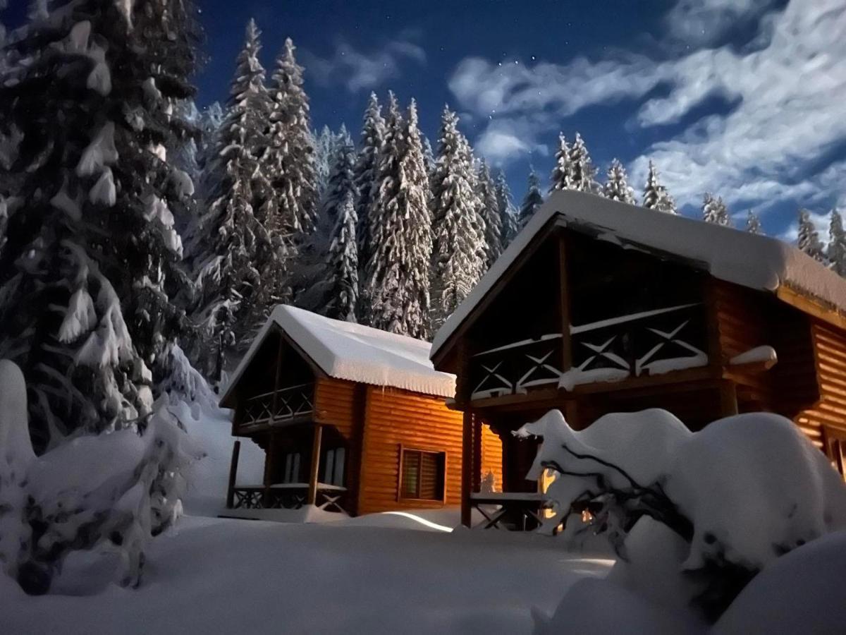 Власовъ Pamporovo Buitenkant foto